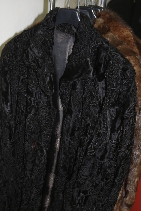 5 different fur coats muskrat, nutria, persian, lamb around.