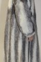 Fur - fur coat mink Kohinoor