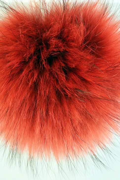 Fur fur bobble bobble bobble fox Finnraccoon - FireRed