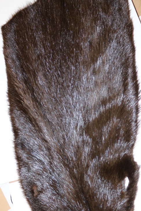 Fur skins rest skins 7 piece Nutria