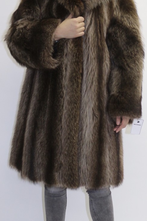 Fur coat raccoon nature