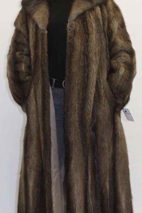 Exuberant fur coat muskrat