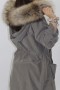 Fur - fur stripes Finnraccoon nature